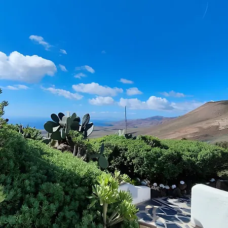 Tabaiba - Macaronesiahomes *