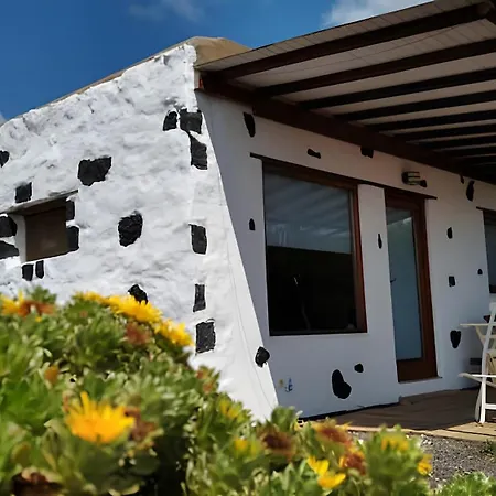 Tabaiba - Macaronesiahomes * La Asomada (Lanzarote)