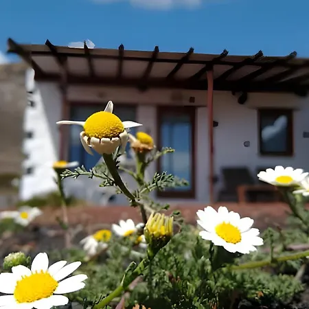 بيت للعطل Tabaiba - Macaronesiahomes