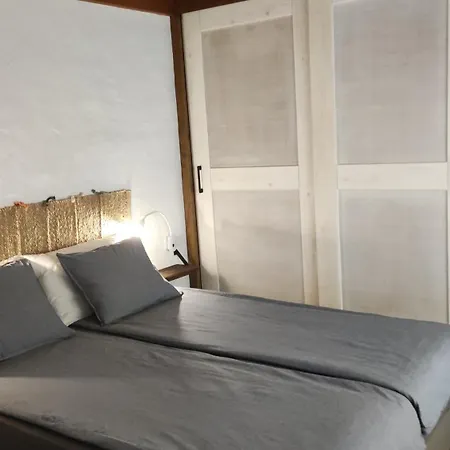 Tabaiba - Macaronesiahomes * La Asomada (Lanzarote)
