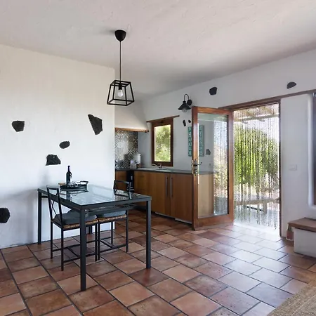 Tabaiba - Macaronesiahomes