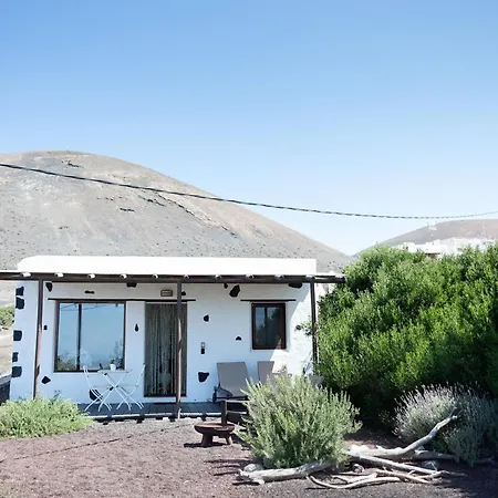 Tabaiba - Macaronesiahomes *