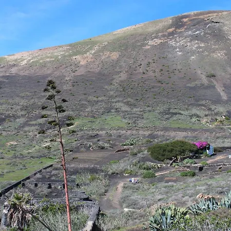Tabaiba - Macaronesiahomes La Asomada (Lanzarote)